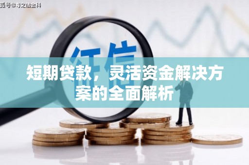 左镇短期贷款，灵活资金解决方案的全面解析