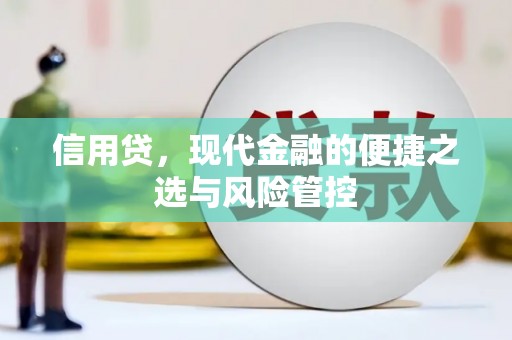 左镇信用贷，现代金融的便捷之选与风险管控