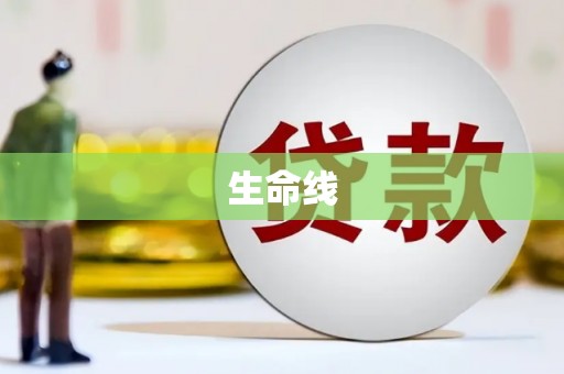 左镇生命线