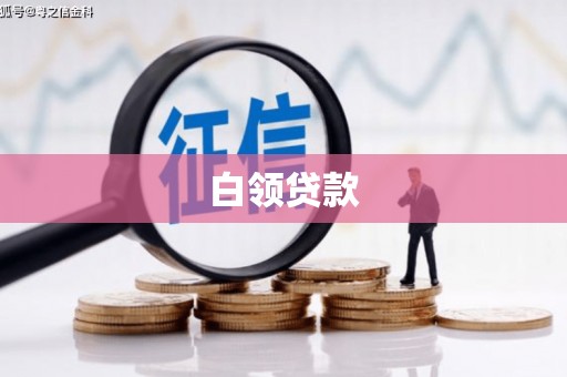 左镇白领贷款