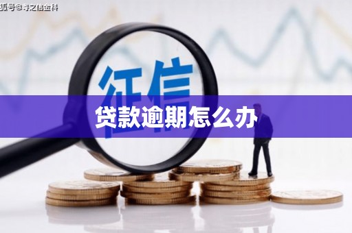 左镇贷款逾期怎么办