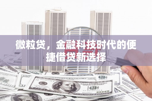 左镇微粒贷，金融科技时代的便捷借贷新选择