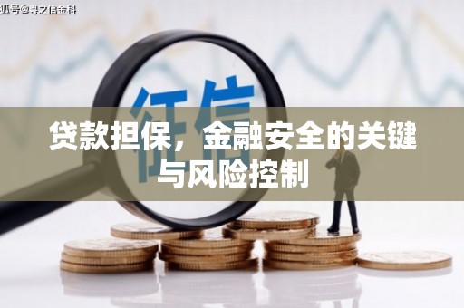 左镇贷款担保，金融安全的关键与风险控制