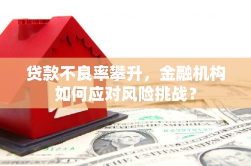 左镇贷款不良率攀升，金融机构如何应对风险挑战？