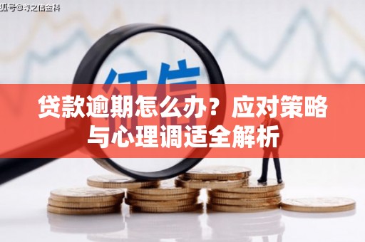 左镇贷款逾期怎么办？应对策略与心理调适全解析