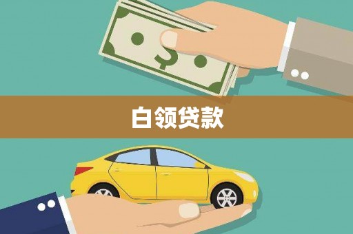 左镇白领贷款