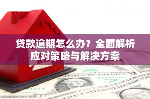 左镇贷款逾期怎么办？全面解析应对策略与解决方案