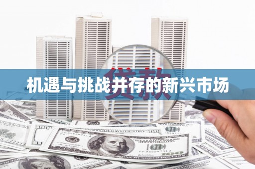 左镇机遇与挑战并存的新兴市场