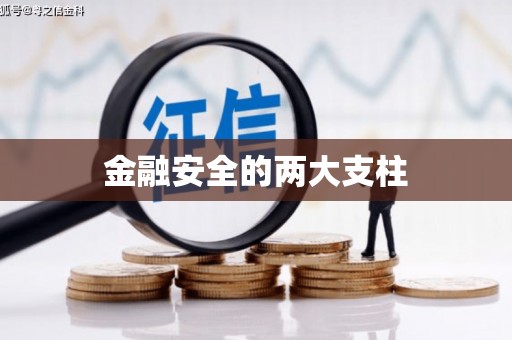 左镇金融安全的两大支柱