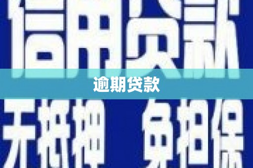 左镇逾期贷款