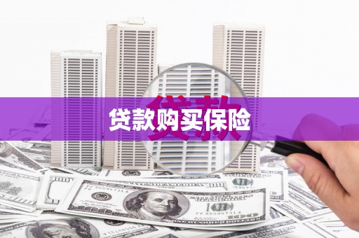 左镇贷款购买保险