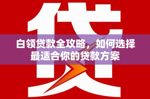 左镇白领贷款全攻略，如何选择最适合你的贷款方案