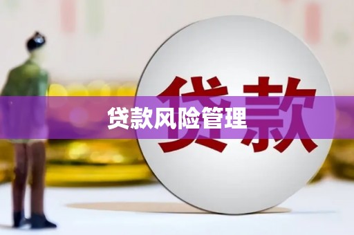 左镇贷款风险管理